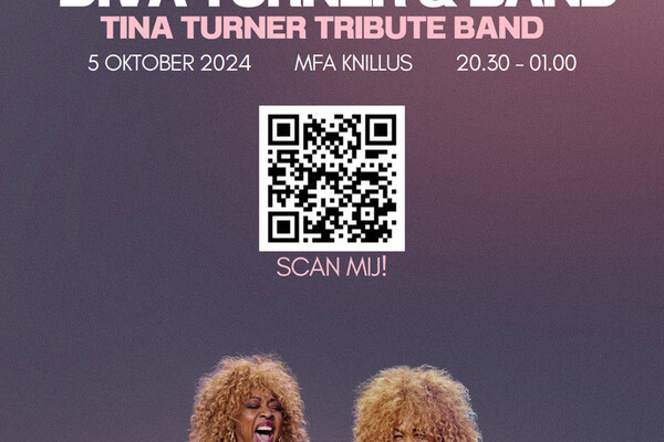 Knillus LIVE! presenteert: Diva Turner (Tina Turner Tribute)